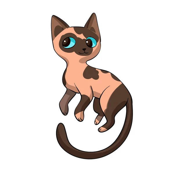 Sphynx Kočka Kreslený Obrázek — Stock fotografie