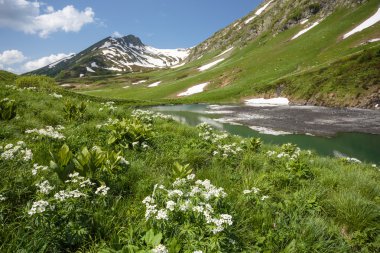 Çim ve çiçek göl ve dağların karşı.