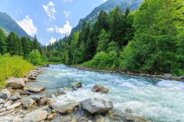 Rusya. Caucasus. Dağ nehir.