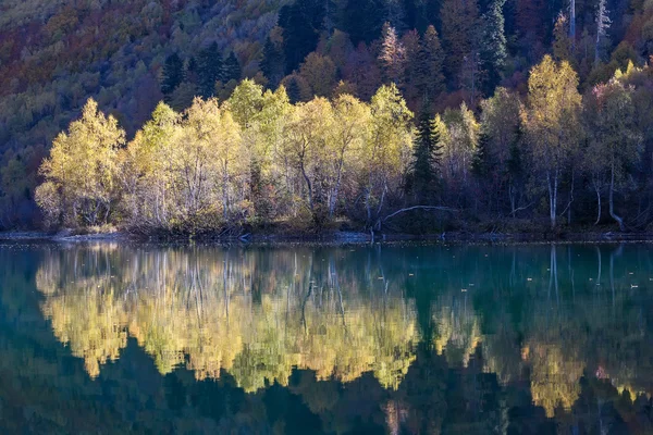 Los árboles iluminados con rayos del sol de la mañana se reflejan en el agua del lago . — Foto de Stock