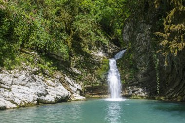 Rusya. Sochi. Nehrin Doğu Dagomys yirmiden Sochi içinde düşüyor.