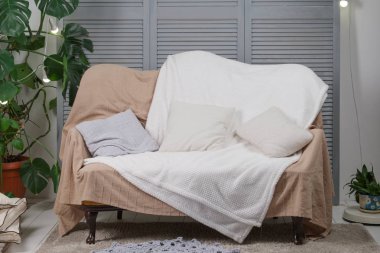 Ekose ve yastıklar üzerine kaplı kanepe