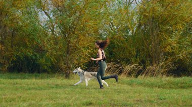 Şehir Parkı husky köpek ile oynayan kız. Köpek ile jogging.