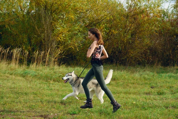 Şehir Parkı husky köpek ile oynayan kız. Köpek ile jogging.