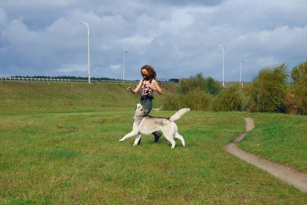 Şehir Parkı husky köpek ile oynayan kız. Köpek ile jogging.