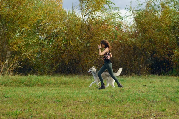 Şehir Parkı husky köpek ile oynayan kız. Köpek ile jogging.