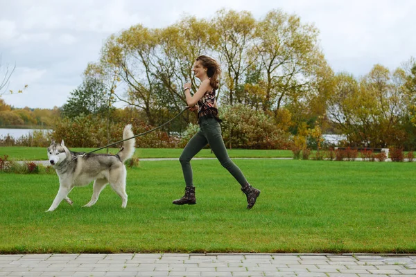 Şehir Parkı husky köpek ile oynayan kız. Köpek ile jogging.