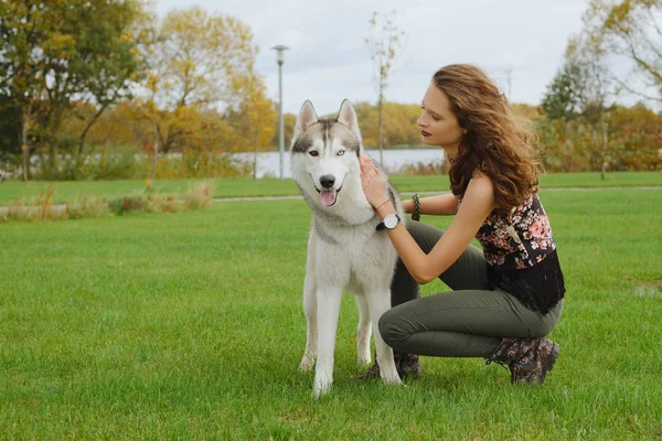 Şehir Parkı husky köpek ile oynayan kız. Köpek eğitim.