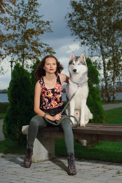 Şehir Parkı husky köpek ile oturan kız. Köpek bir bankta.