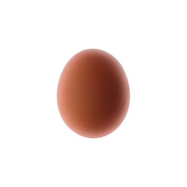 Kahverengi tavuk yumurtasının yakın görüntüsü beyaza izole edilmiş.
