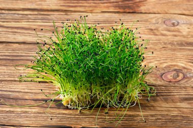 Taze yeşillikler. Ahşap arka planda soğan filizleri.