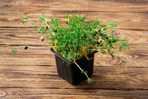 Verse microgreens. Prouts van lupine op houten ondergrond. — Stockfoto