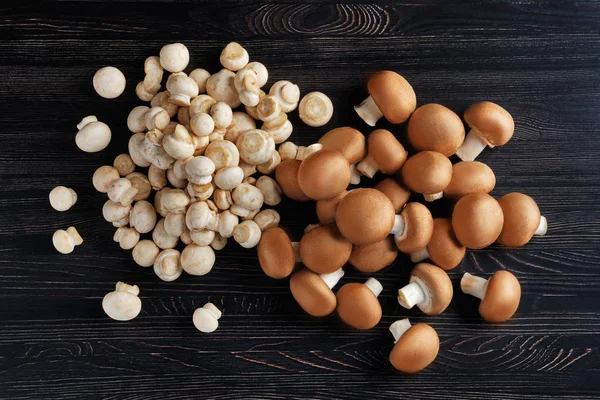 Vue aérienne du champignon blanc et brun sur fond bois foncé — Photo