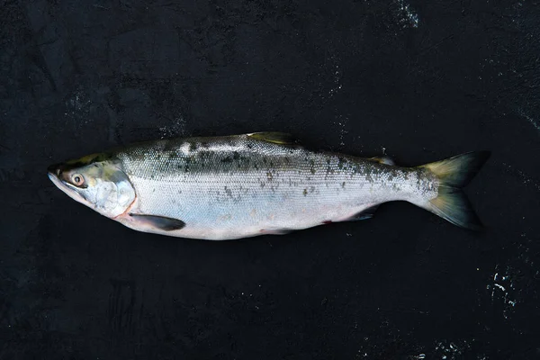 Siyah beton arka planda kırmızı somon