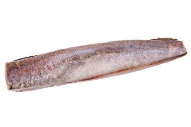 Beyaz arkaplanda ham hake izole edildi