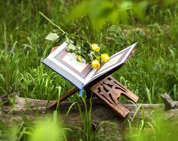 Quran and rose