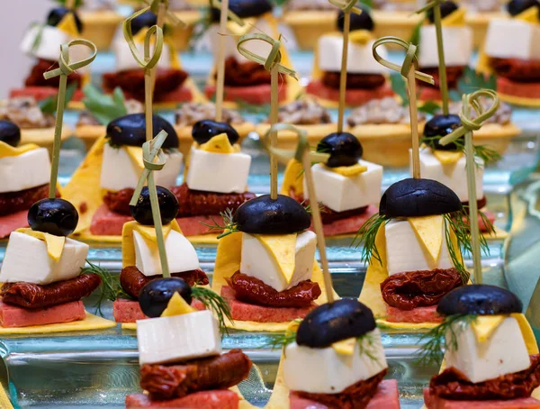 Placa com vários frutos do mar e canapés de carne. Arenque em conserva com ovo, queijo e cereja, salmão, camarão com pepino e salame recheado — Fotografia de Stock