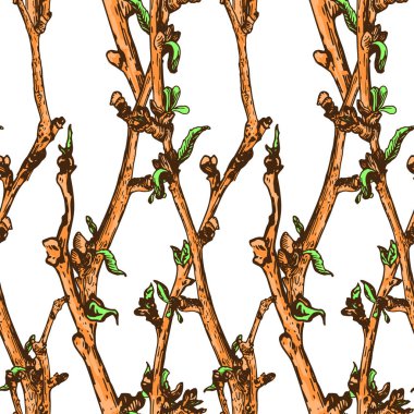 Appleflower kroki Pattern1-05