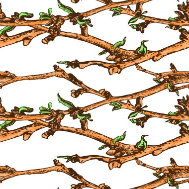 Appleflower kroki Pattern1-06