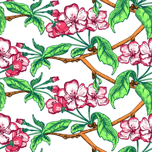Patrón de boceto de flor de manzana1-10 — Archivo Imágenes Vectoriales