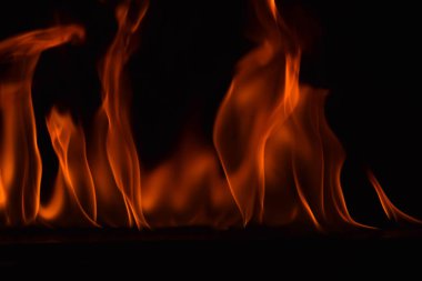 Güzel ateş alevler siyah arka plan üzerine.