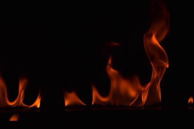 Güzel ateş alevler siyah arka plan üzerine.