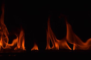 Güzel ateş alevler siyah arka plan üzerine.