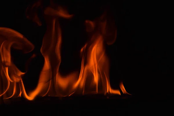 Vacker eld flames på svart bakgrund. — Stockfoto