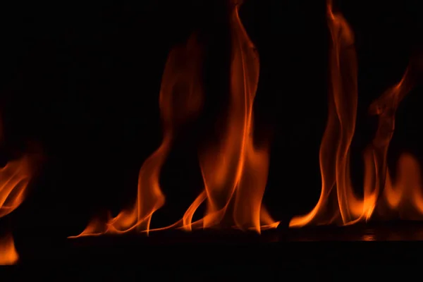 Vacker eld flames på svart bakgrund. — Stockfoto