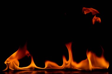 Güzel ateş alevler siyah arka plan üzerine.