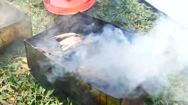 Vuur voor het koken of bbq, grill met houtskool — Stockvideo