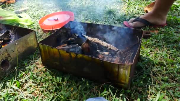 Fogo para cozinhar ou churrasco, grelhar com carvão vegetal — Vídeo de Stock