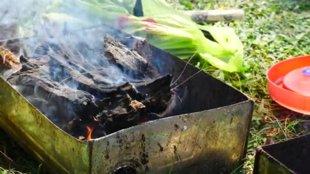 Φωτιά για το μαγείρεμα ή μπάρμπεκιου, ψησταριά με κάρβουνα — Αρχείο Βίντεο