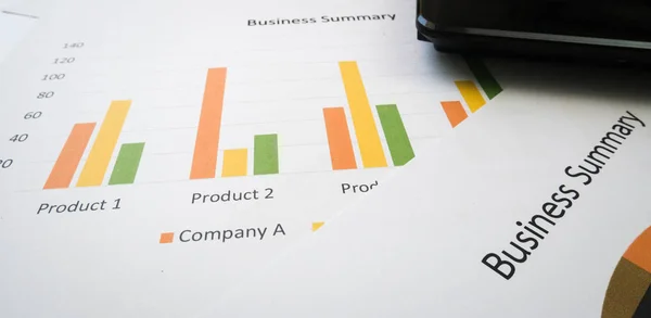 Samenvatting van de Business of Business plan rapport met grafieken en diagrammen — Stockfoto