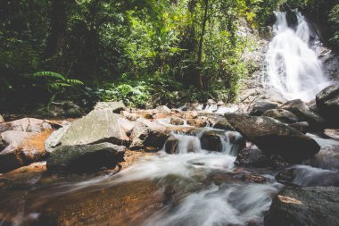  Yağmur mevsiminde şelaleler. Taşlara akan bir sürü su var. Ulusal Park 'ın ormanlarında