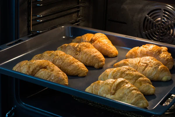 Croissants are in tray after leaving the oven for Served customers in breakfast