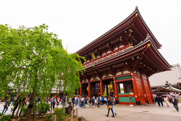 Японія Квітня 2017 Року Багато Туристів Приїжджають Храму Сенсоджі Вночі — стокове фото
