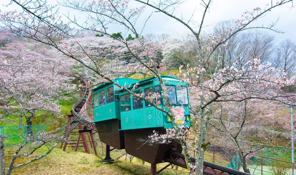 Funaoka Japão Abril 2017 Grupo Turistas Usa Serviço Carro Encosta — Fotografia de Stock