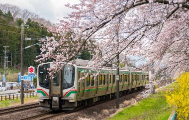 Funaoka - 12 Nisan 2017 Japonya 'nın Sendai kentinde Shiroishi nehri boyunca uzanan kiraz ağaçlarıyla tren raylarında