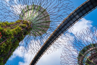 Supertree Grove marina koyunda büyük bir botanik bahçesidir ve iyi bir günde Singapur 'u ve mavi gökyüzü olan çiçek kubbesini ziyaret etmek için en önemli yerlerden biridir.