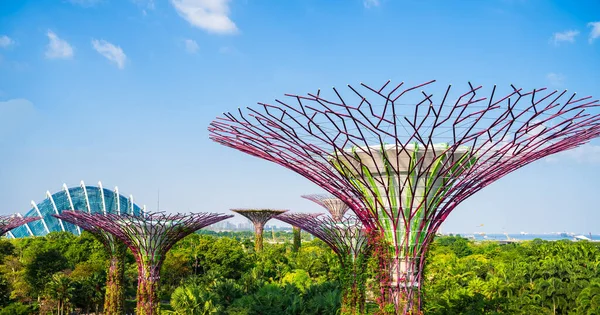 スーパーツリーグローブはマリーナベイにある大きな植物園で 良い日に青い空とシンガポールと花のドームを訪問する最も重要なアトラクションの1つです — ストック写真