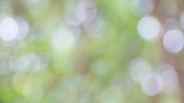 Doğal arkaplan için parlak ışığı olan soyut yeşil renk