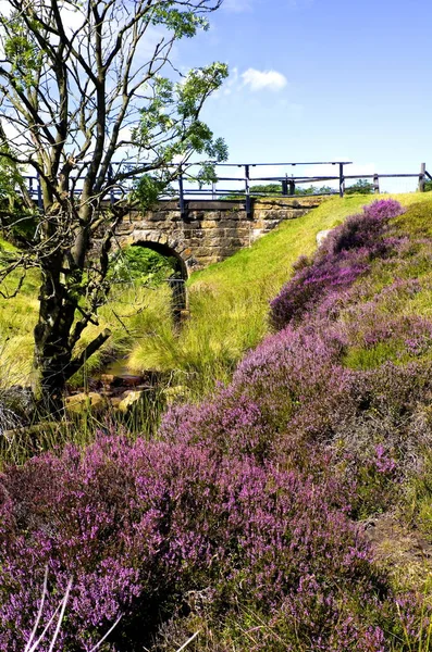 Hamer Bridge, North York Moors, England — Stock Photo, Image