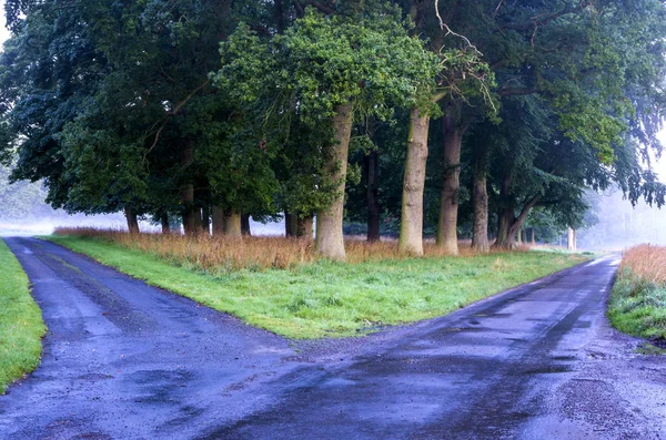 Country Estate Road Junction — Stock Photo, Image