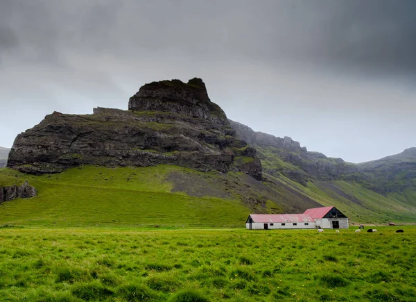 Icelandic farm above a rock mountain — Stock Photo, Image