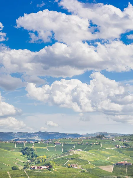 Langhe vineyards and hills in autumn — Stock Photo, Image