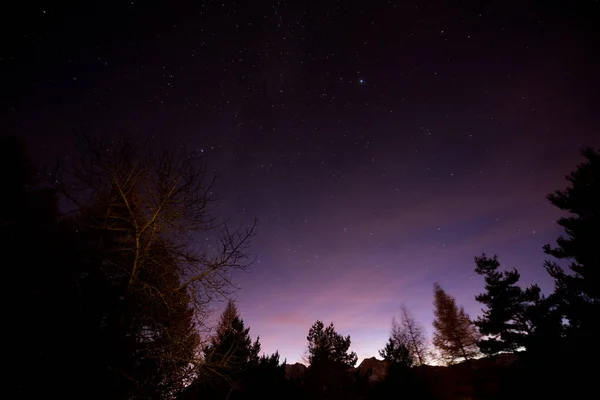 Noche estrellada en el bosque al atardecer — Foto de Stock