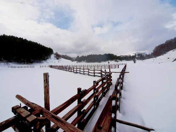 Зимняя сцена на горе Лицензионные Стоковые Фото