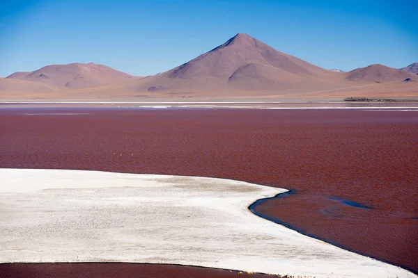 Laguna colorada auf dem Hochplateau altiplano in Bolivien — Stockfoto