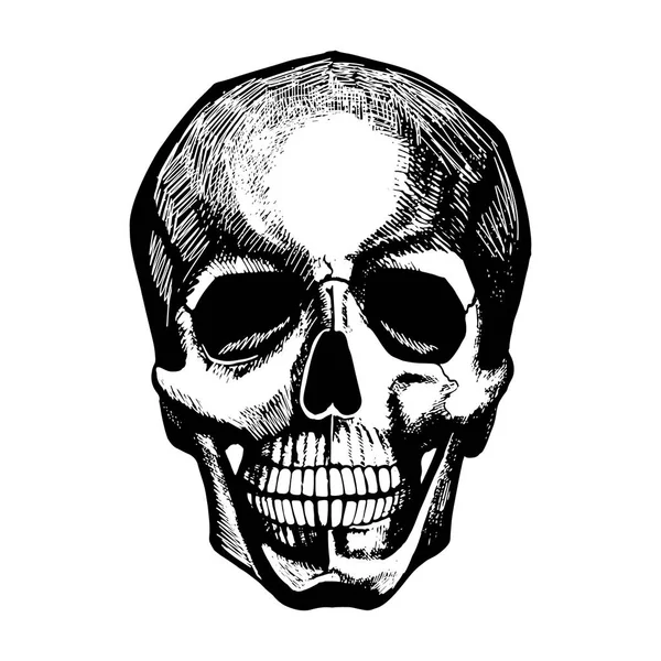 Vector portrait of human skull. Vintage hand drawn engraved art. Tattoo sketch or poster or fashion print. — Stock Vector